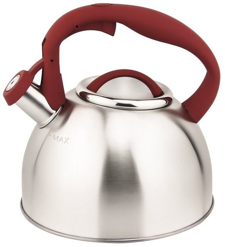 Flötenkessel 2,5l Michelino